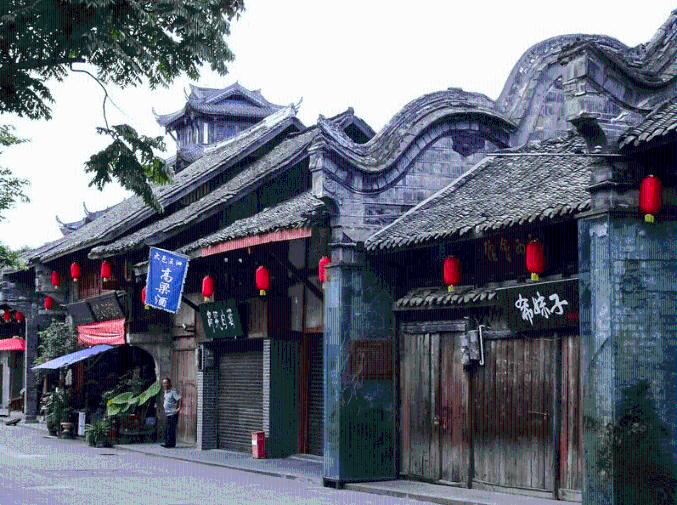 动物帮帮忙保卫家园